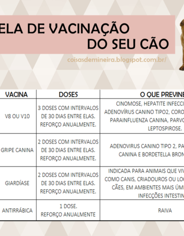 MEU PET | QUANDO DEVO VACINAR MEU CÃOZINHO?