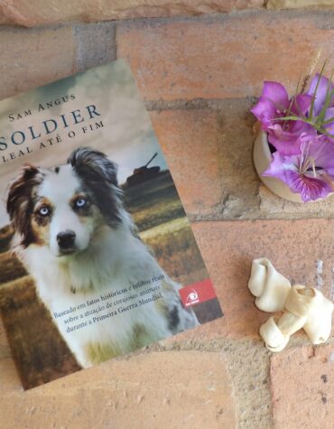SOLDIER – SAM ANGUS | RESENHA