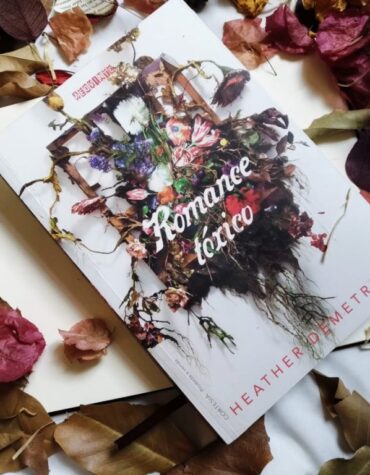 ROMANCE TÓXICO – HEATHER DEMETRIOS | RESENHA
