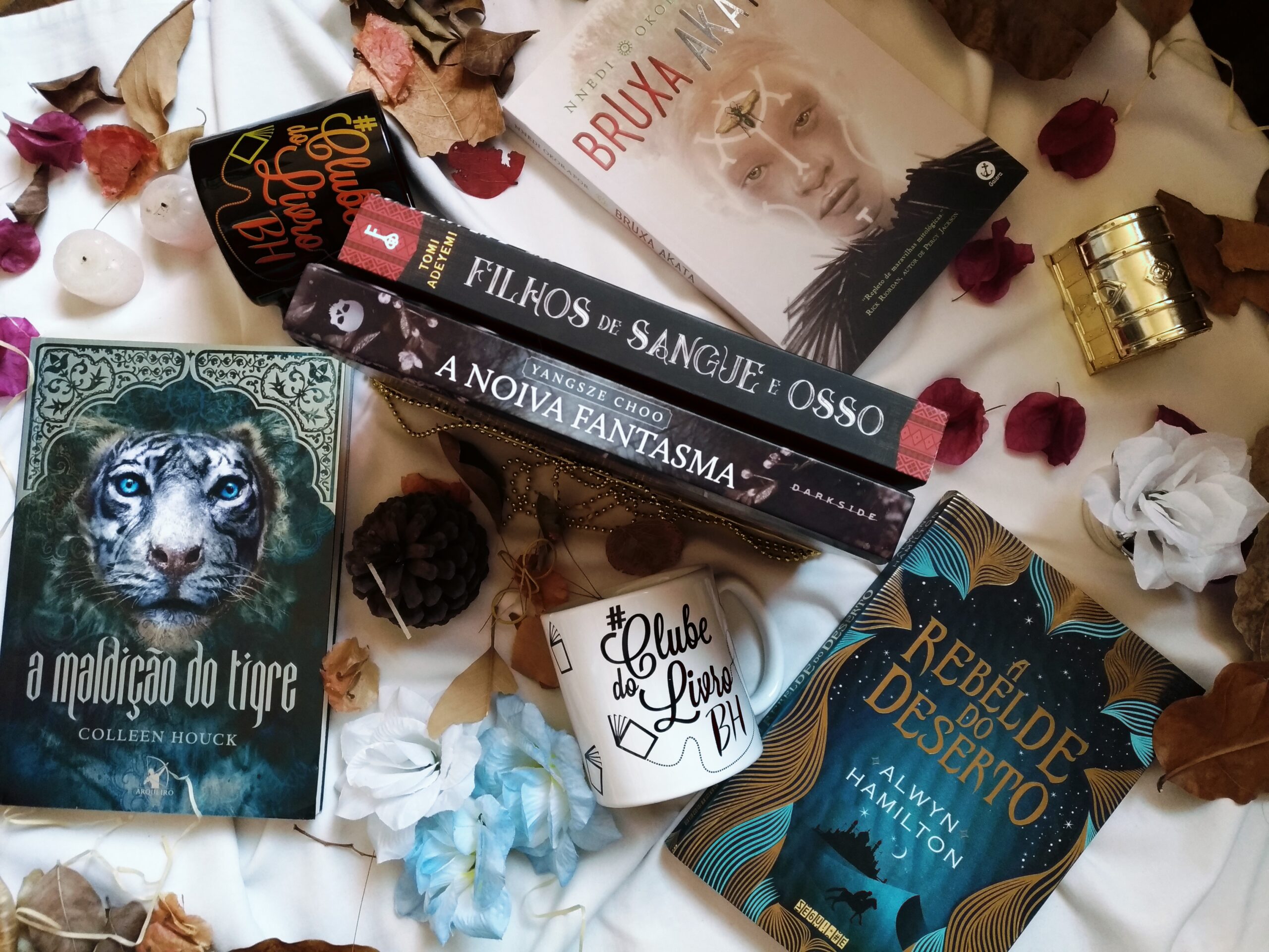 6 LIVROS QUE INDICAMOS NO 26 º ENCONTRO DO #CLUBEDOLIVROBH PARA VOCÊ LER