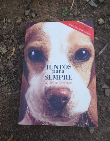 JUNTOS PARA SEMPRE – W. BRUCE CAMERON | RESENHA JUNTOS PARA SEMPRE – W. BRUCE CAMERON | RESENHA