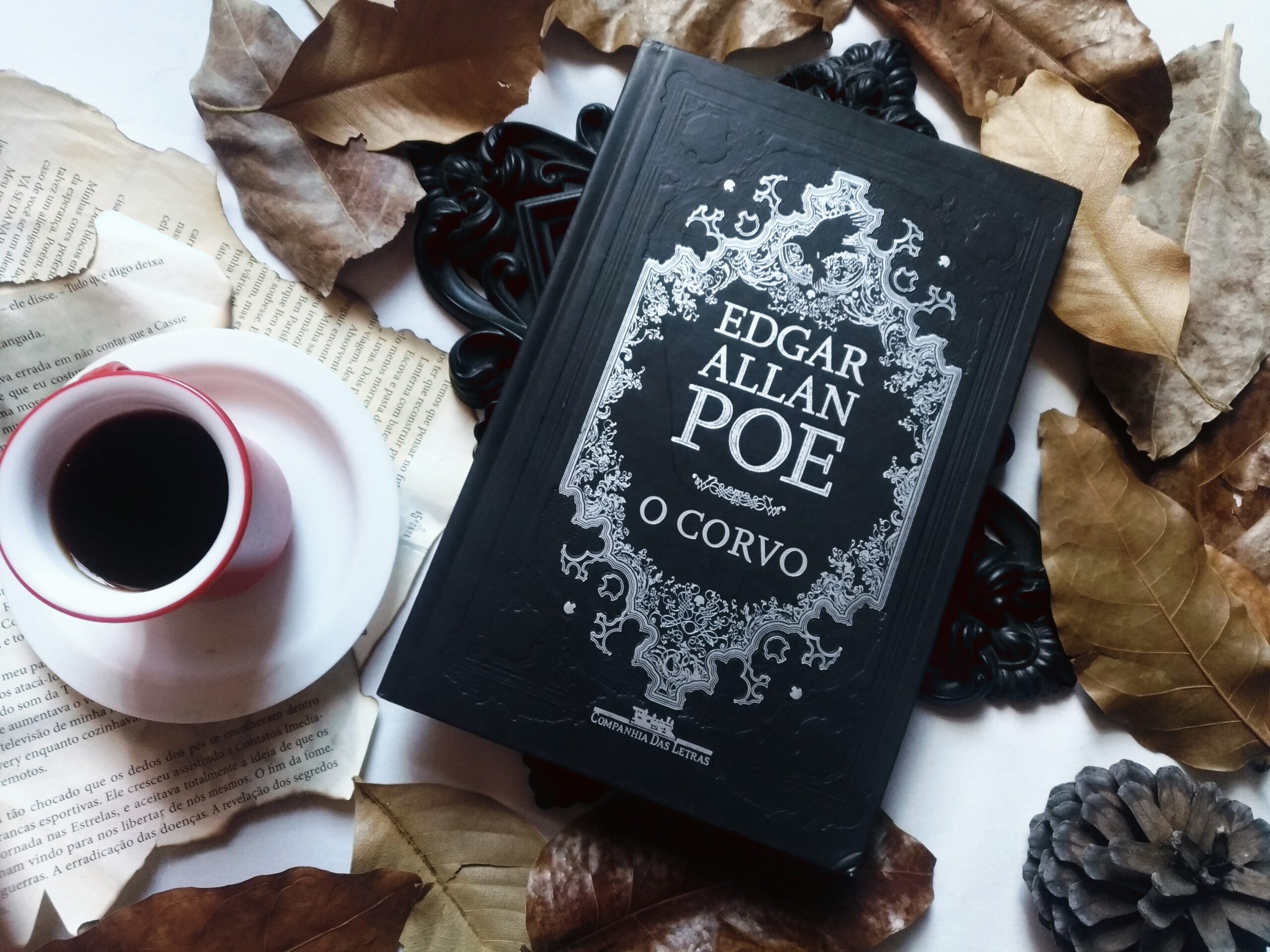 O CORVO – EDGAR ALLAN POE | RESENHA