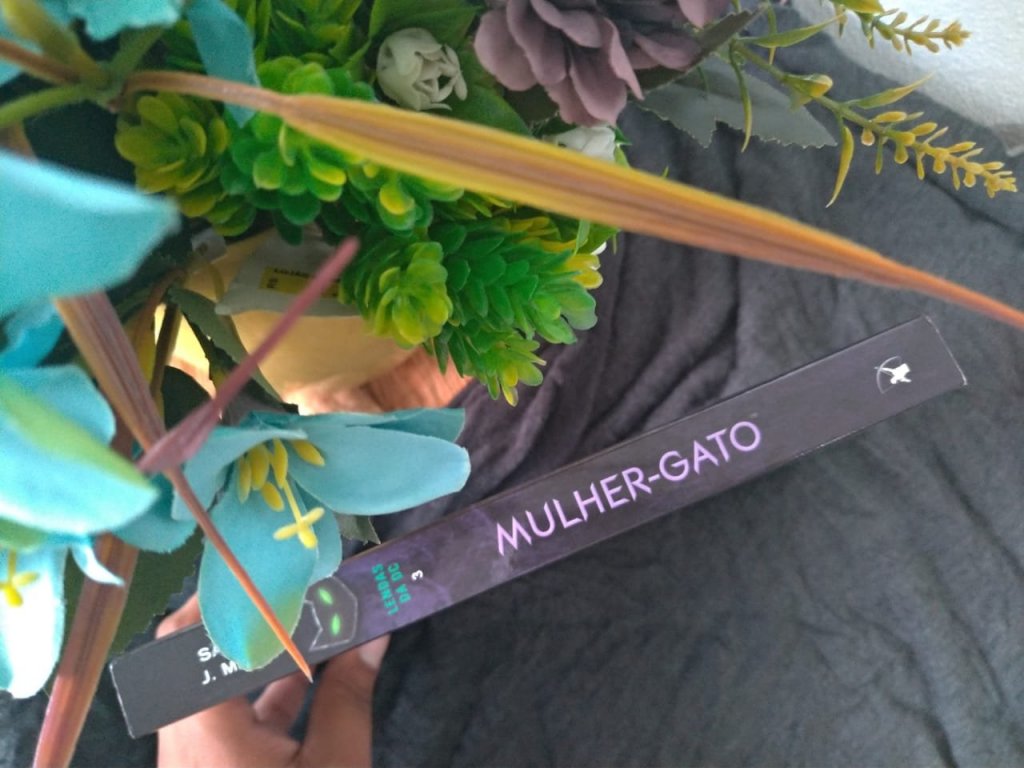 MULHER-GATO: LADRA DE ALMAS – SARAH J. MAAS 