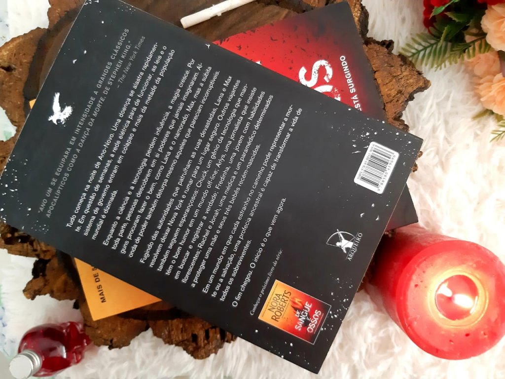 Livro UM ANO
