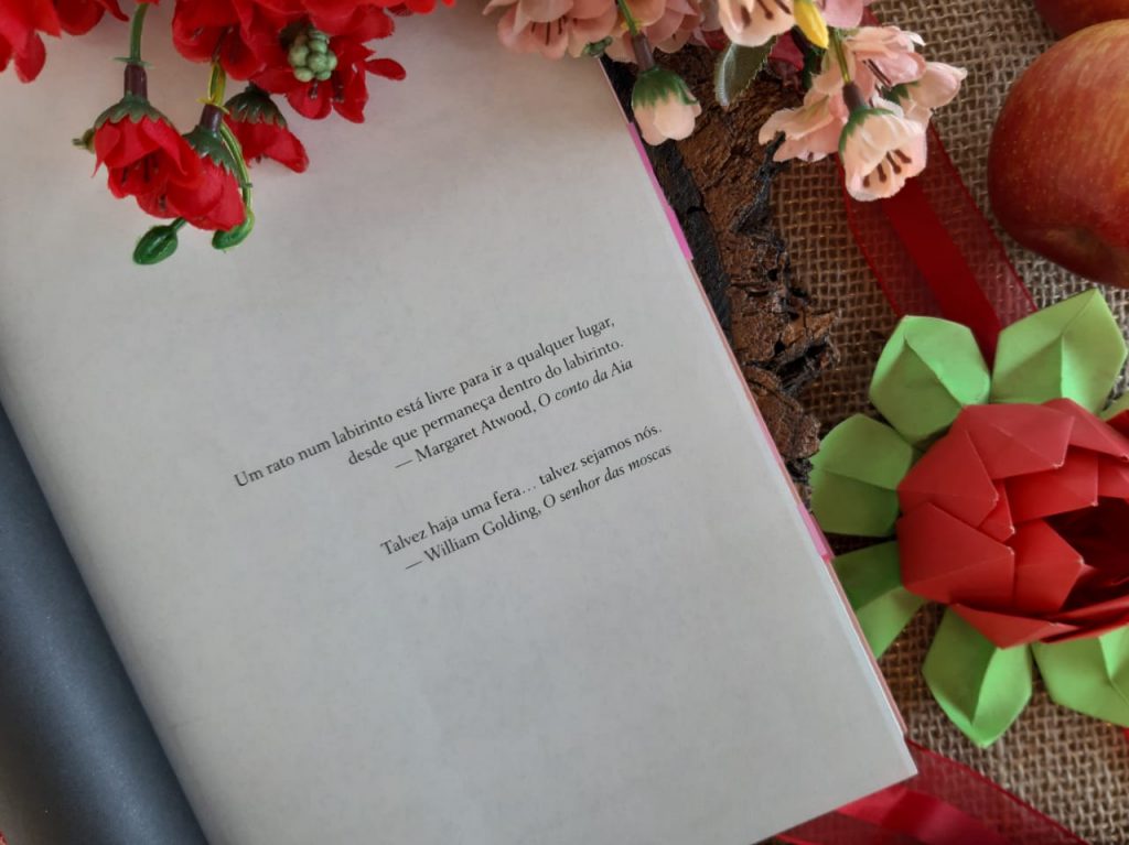 Resenha Do Livro O Ano Da Graça De Kim Liggett