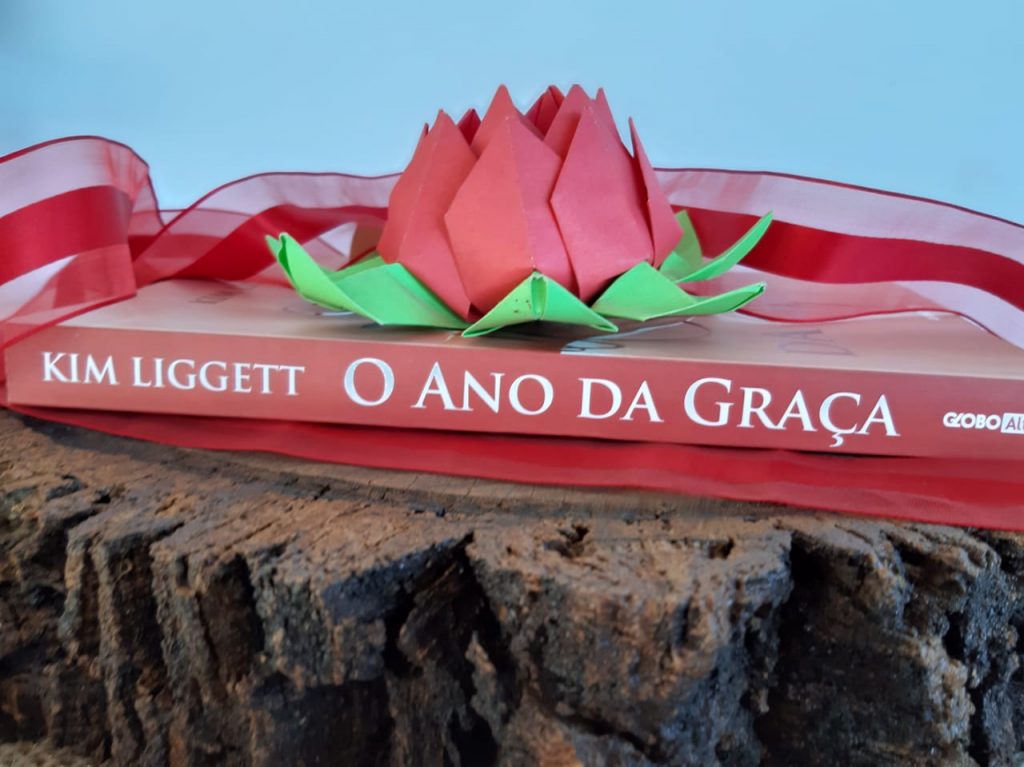 O ANO DA GRAÇA - KIM LIGGETT 02