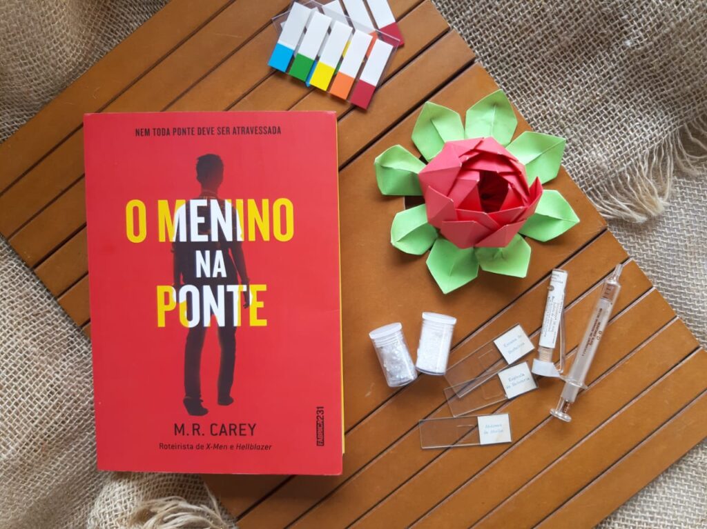 O MENINO NA PONTE – M. R. CAREY | RESENHA O MENINO NA PONTE – M. R. CAREY | RESENHA