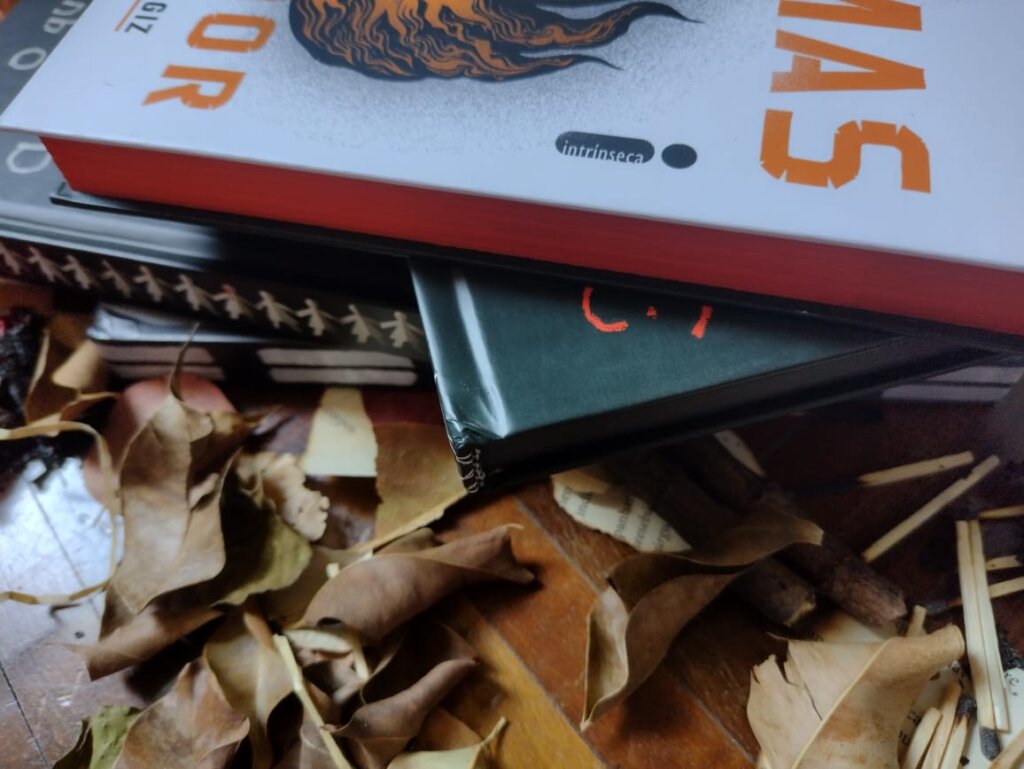 GAROTAS EM CHAMAS – C. J. TUDOR