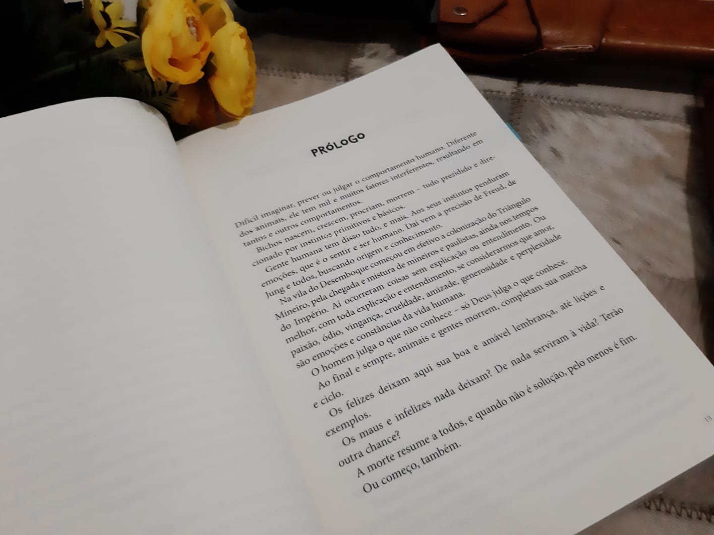 RESENHA DO LIVRO CAÇADAS DE VIDA E DE MORTE DE JOÃO GILBERTO RODRIGUES DA CUNHA 