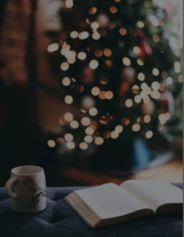 Livros para entrar no clima do natal! Livros para entrar no clima do natal!