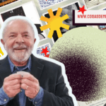 10 LIVROS JÁ LIDOS E INDICADOS PELO LULA