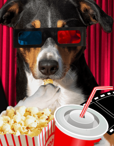 O que assistir na Amazon Prime Vídeo O que assistir na Amazon Prime Vídeo