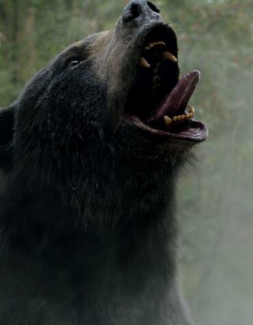 [CRÍTICA] O URSO DO PÓ BRANCO (2023)