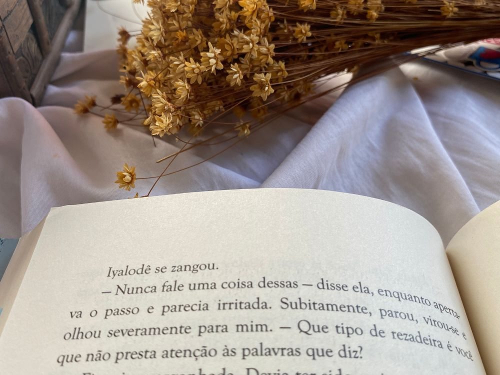 Resenha do livro publicado pela Editora Rocco