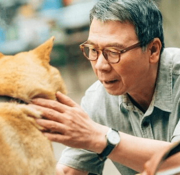 HACHIKO: PARA SEMPRE | CRÍTICA